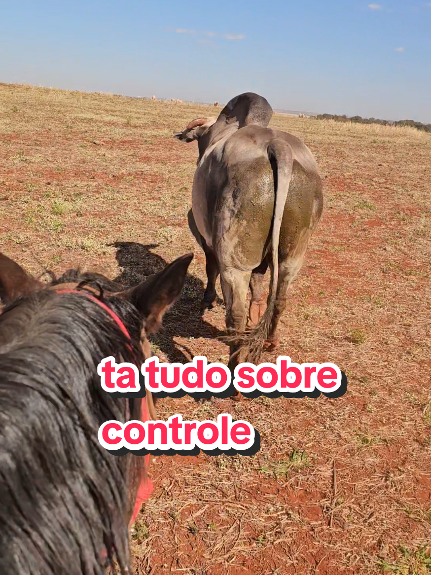 @Geovane neto