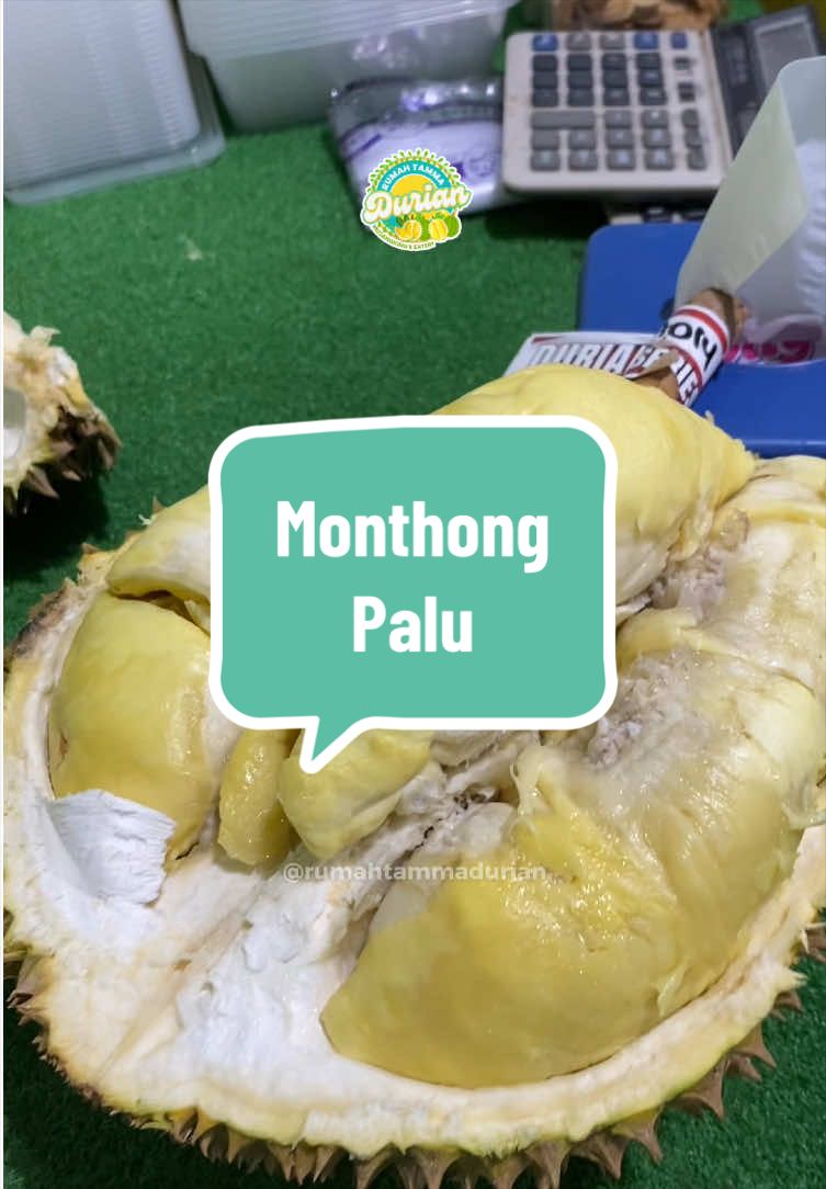 @Rumah Tamma Durian