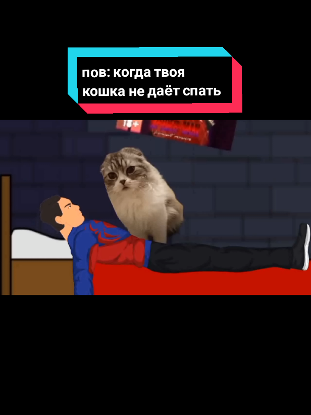 @Витя паук