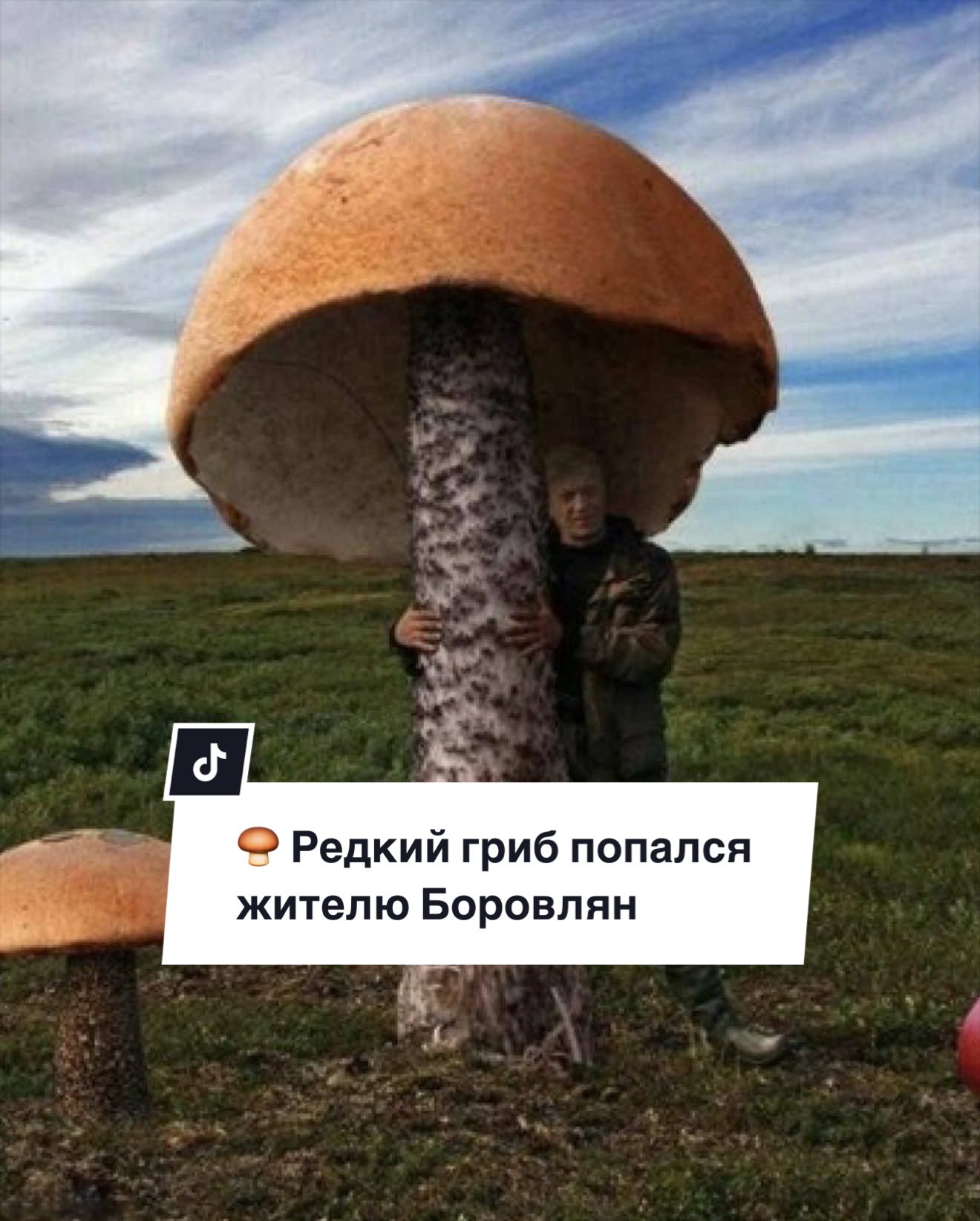 @Боровляны|Новости🌳