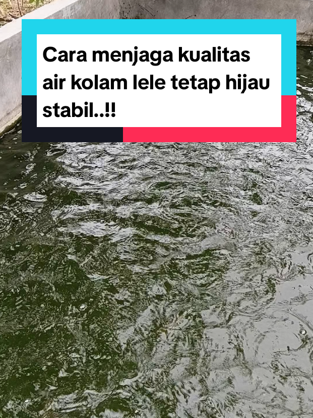 @Kang_Ewi