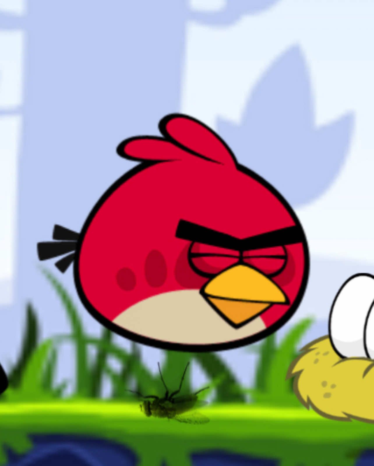 @Red bird fan
