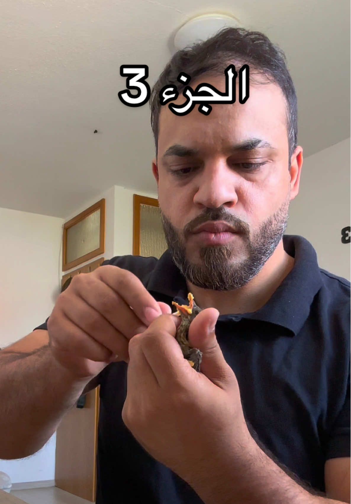 @ابونمر الملاكم MUSTAFA🇩🇪🇮🇶