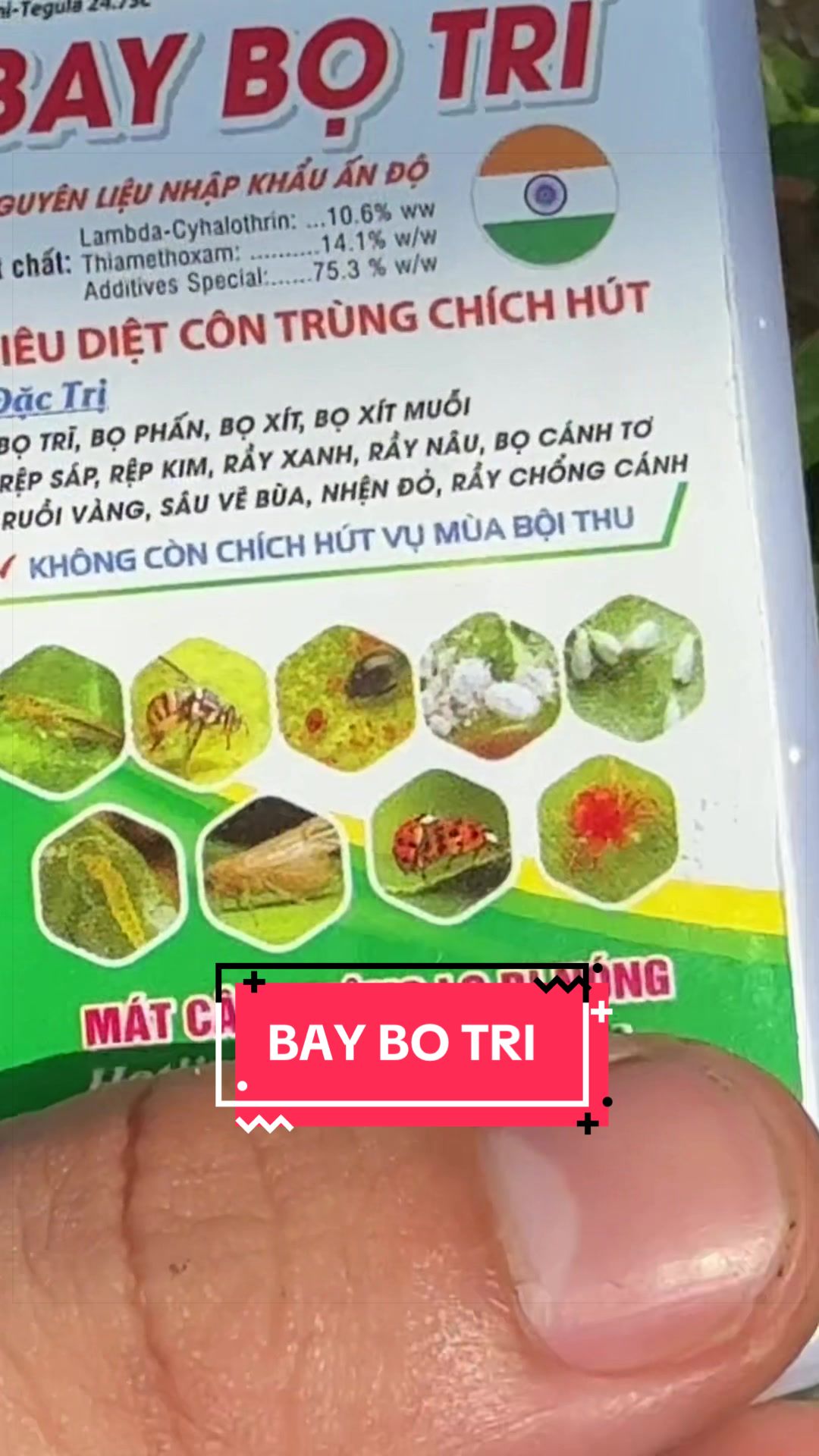 @C&acirc;y Xanh Phong Hồng