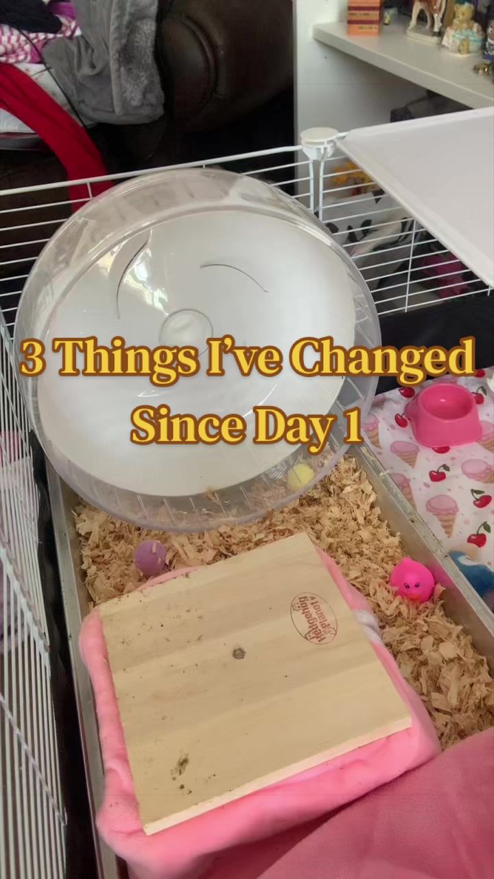 @⋆𐙚࿔𝓦𝓲𝓵𝓵𝓸𝔀 𝄞 𝓒𝓸𝜗𝜚˚⋆