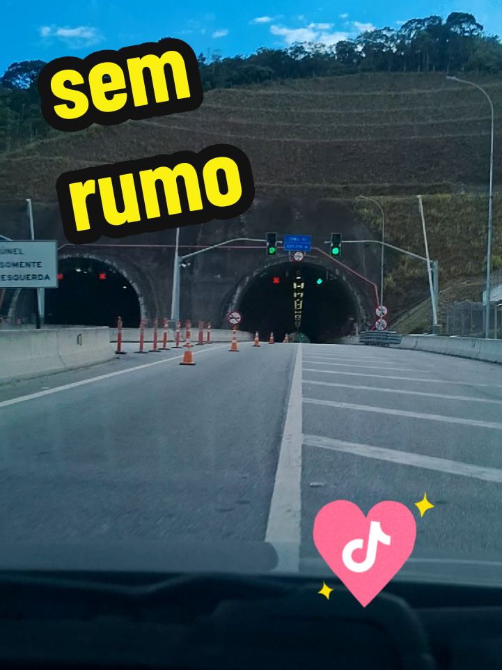 @Vicente Gardeal