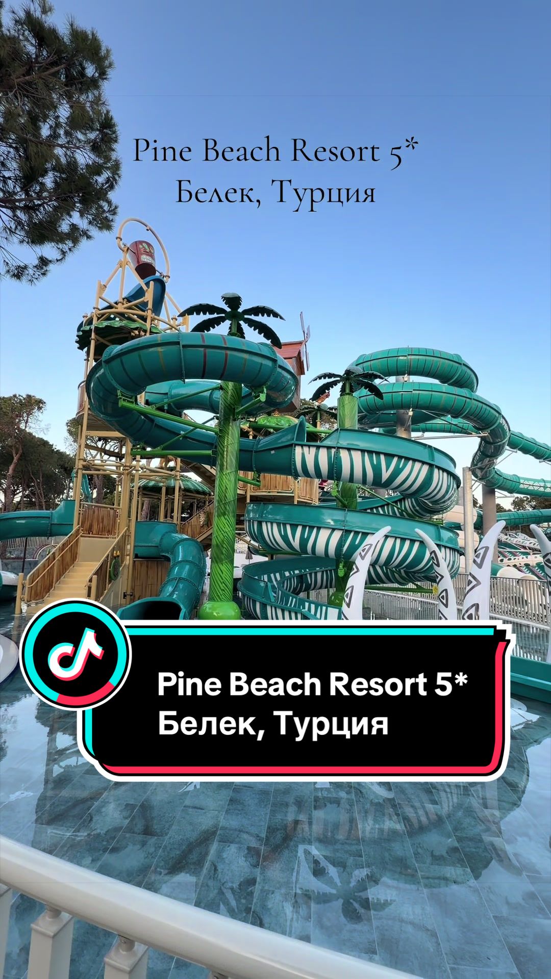 @Ирума Головкина