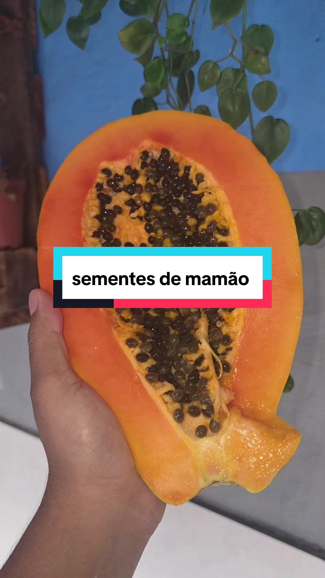 @Dicas e Receitas Naturais