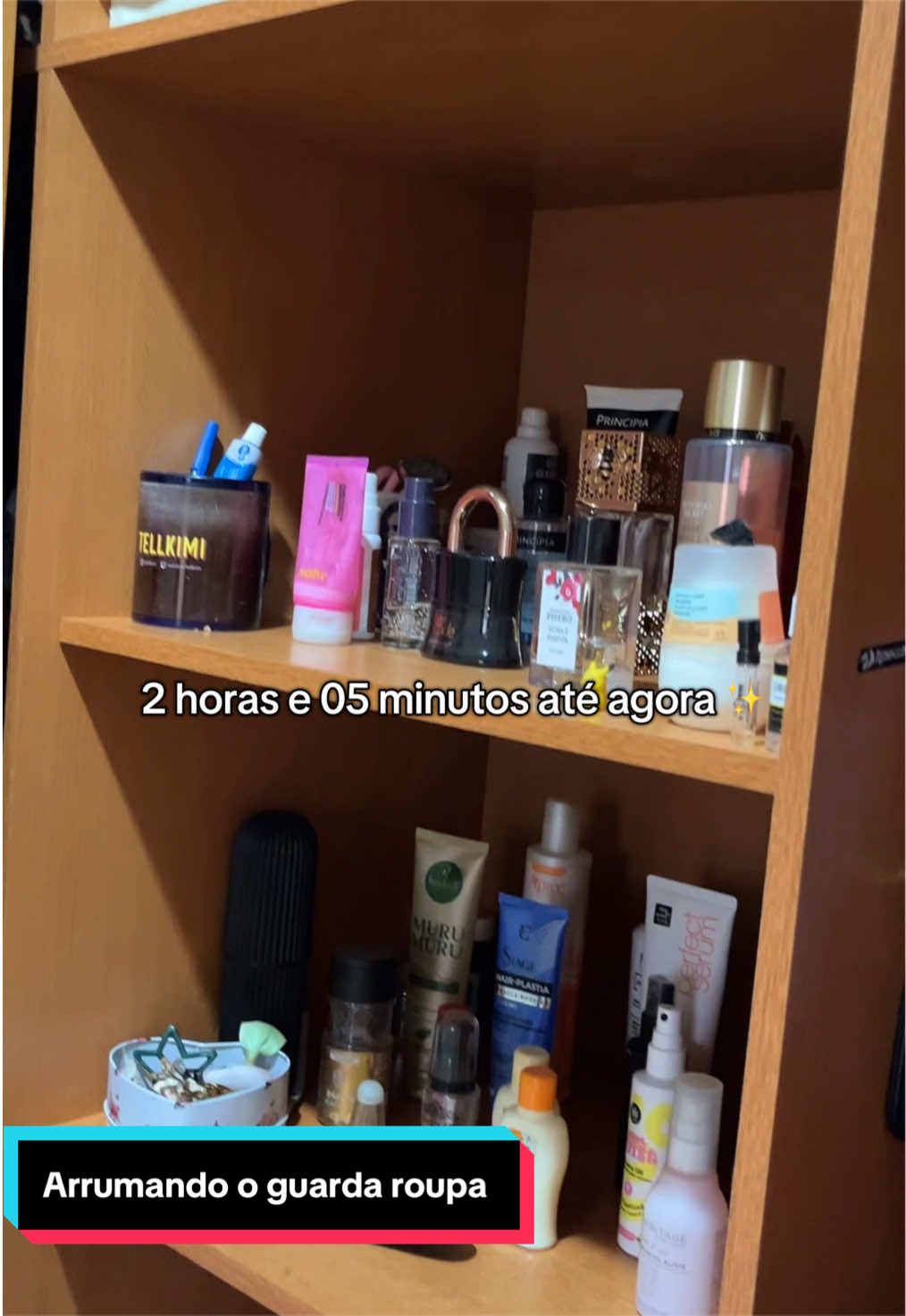 @Sara Couto