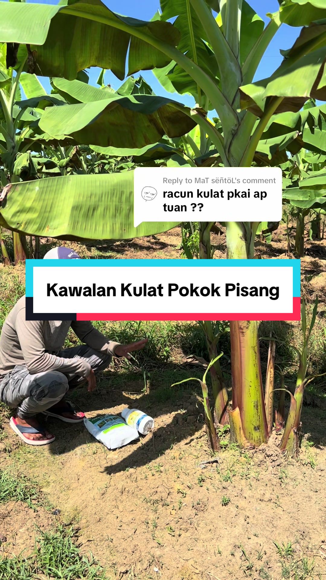 @Dusun Cikgu Mail
