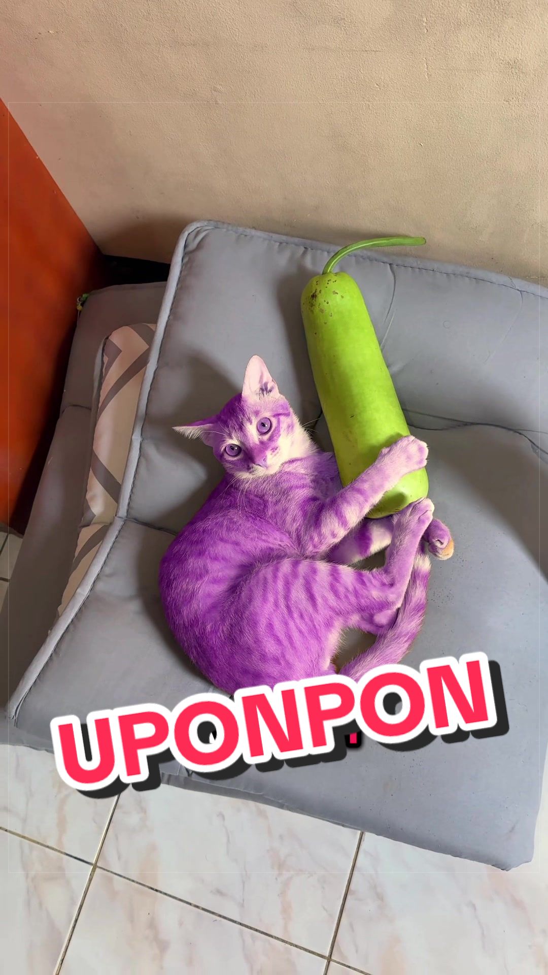 @Leet