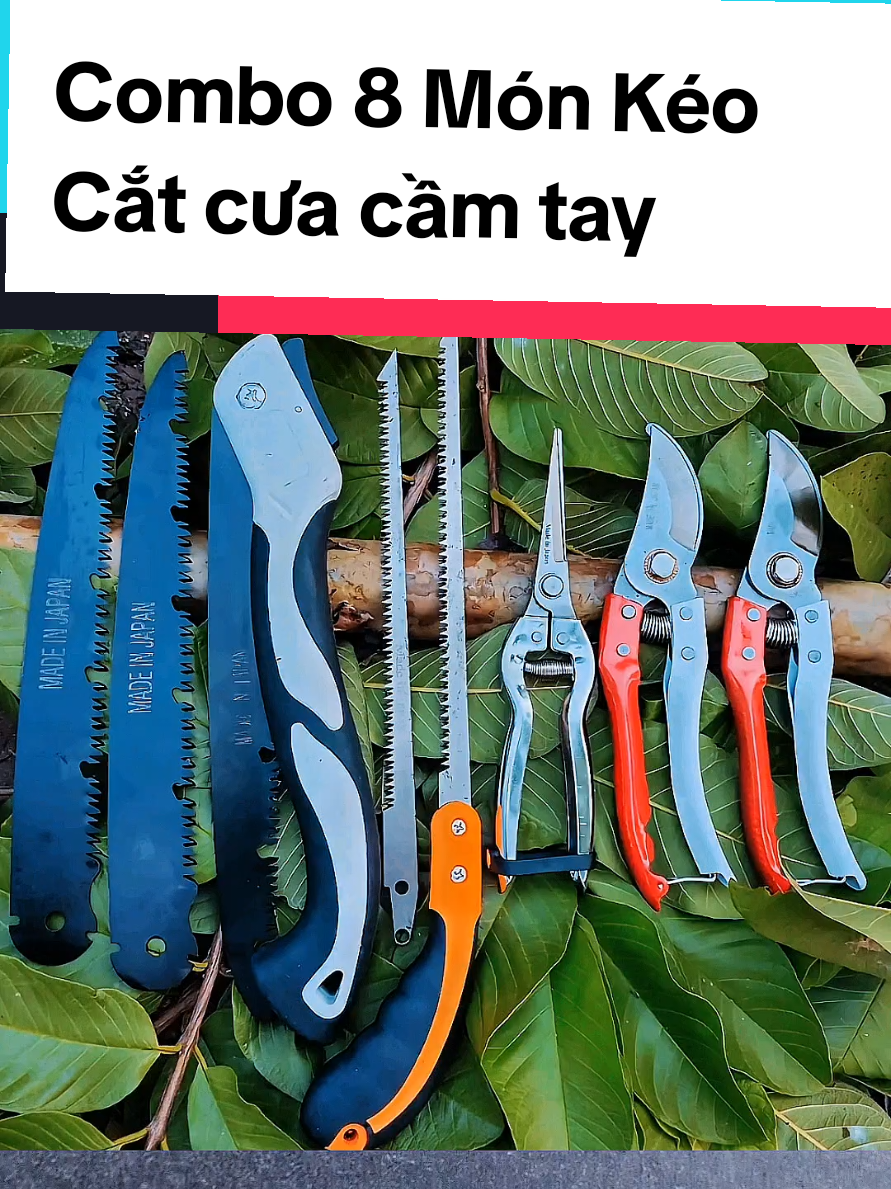 @@1Huyền Nguyễn