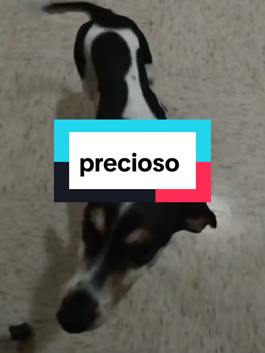 @Victor beatback