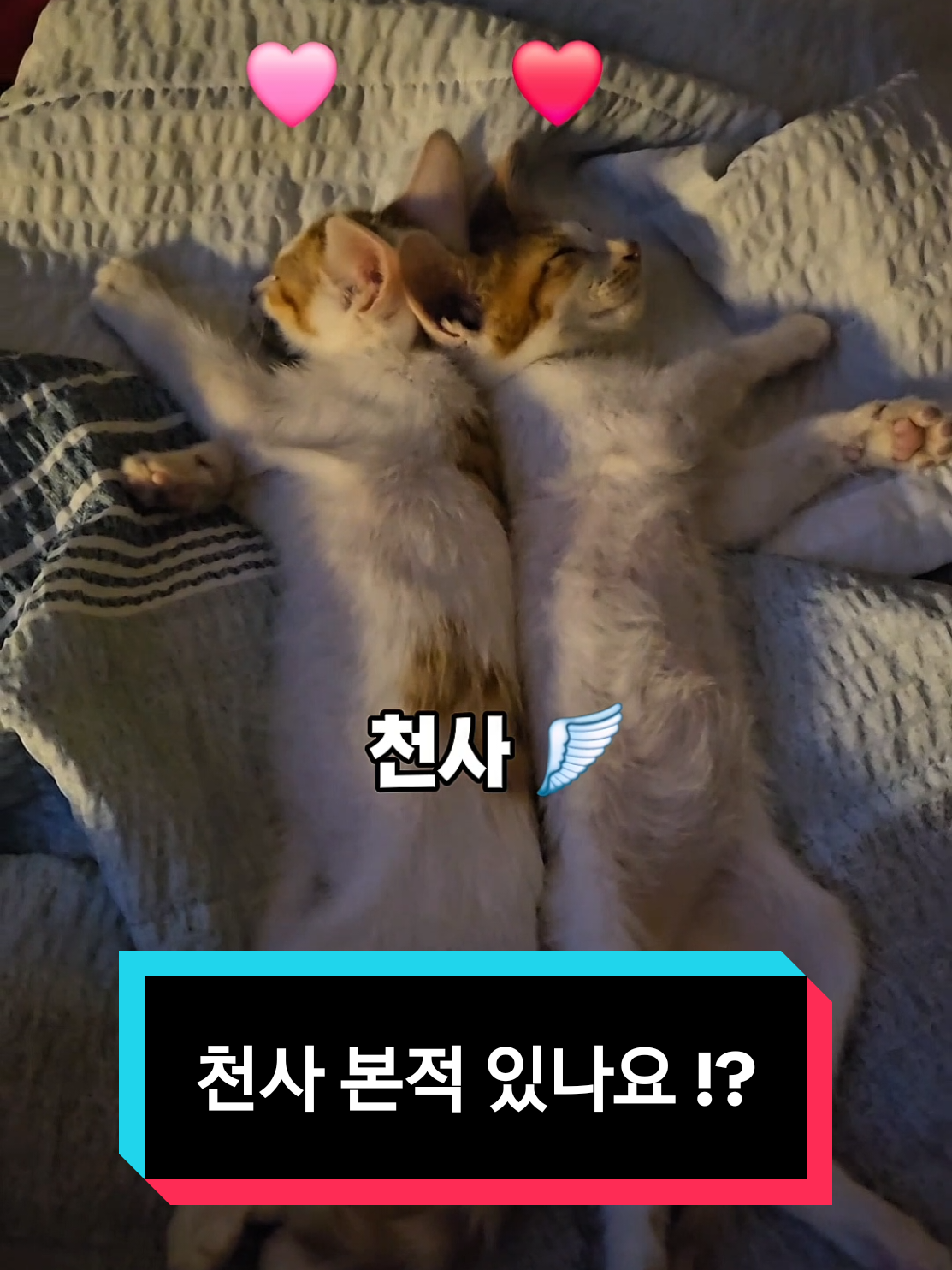 @๐ฉ์ด์์ฌ×234๐ฉ
