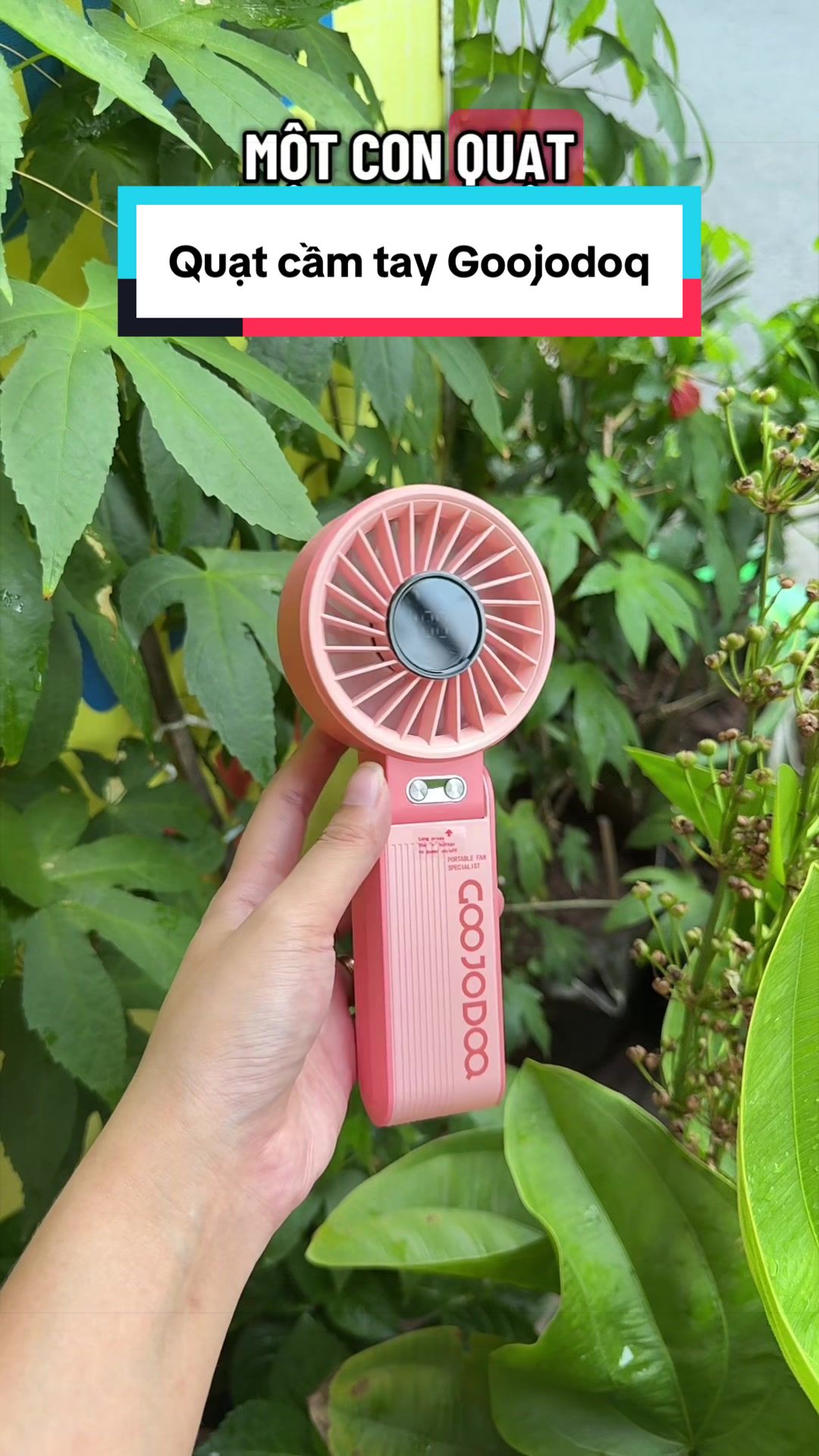 @Tuấn B&igrave;nh Thường