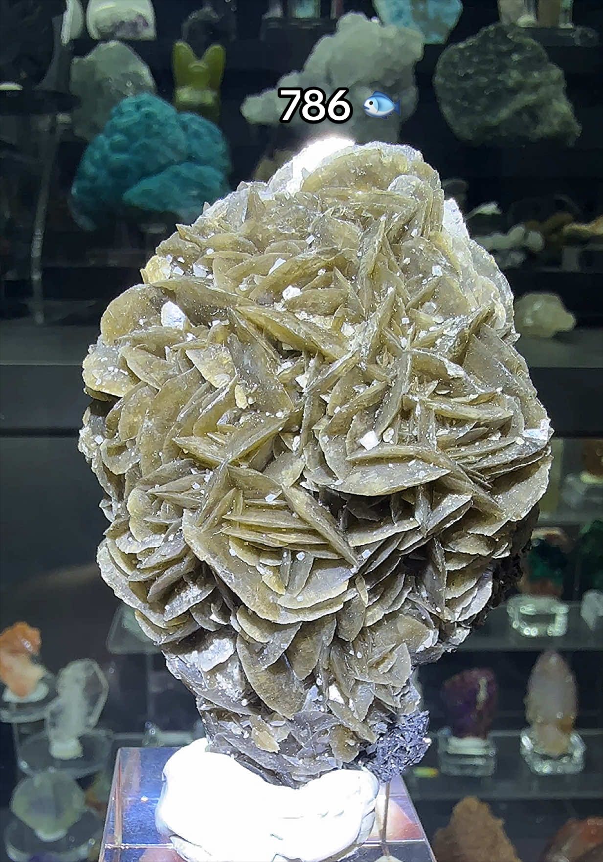 @Halen Crystal