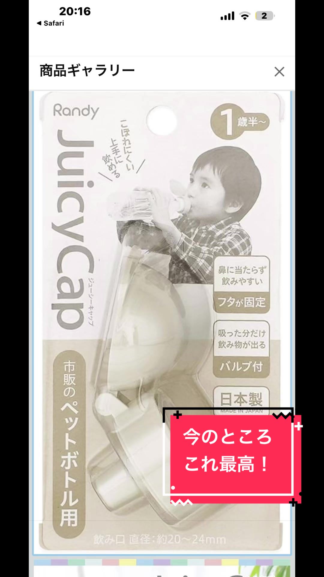 @とらままんち
