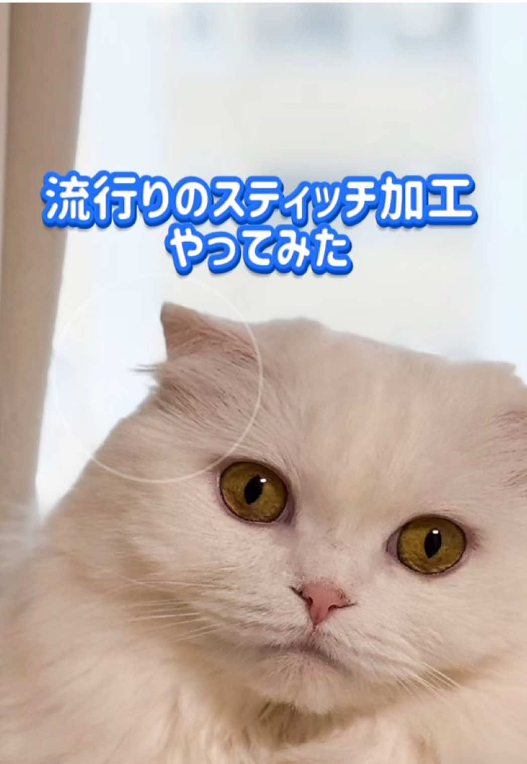 @もっちぬ