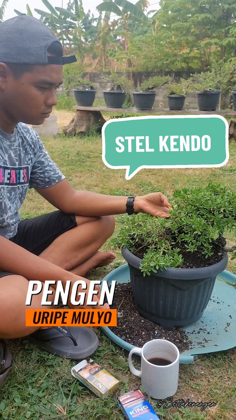 @BETTA KENANGAN