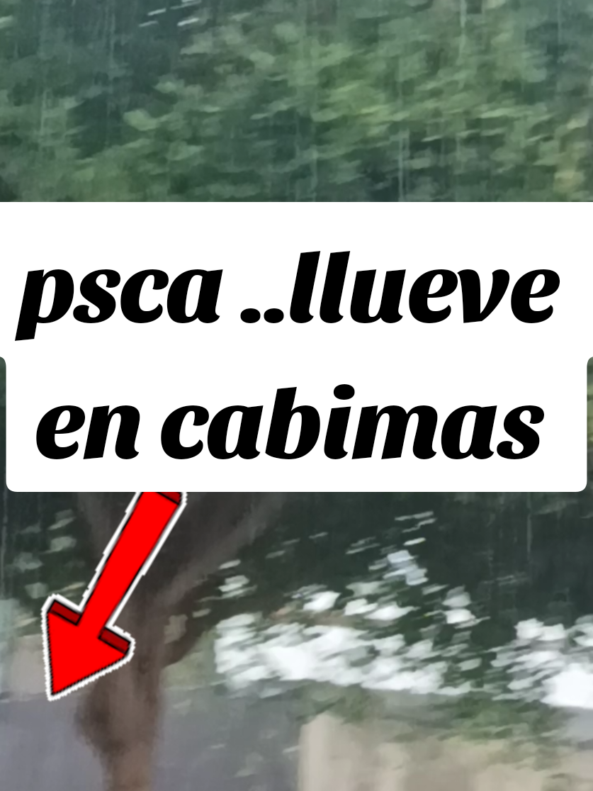 @MIMUNDO1981