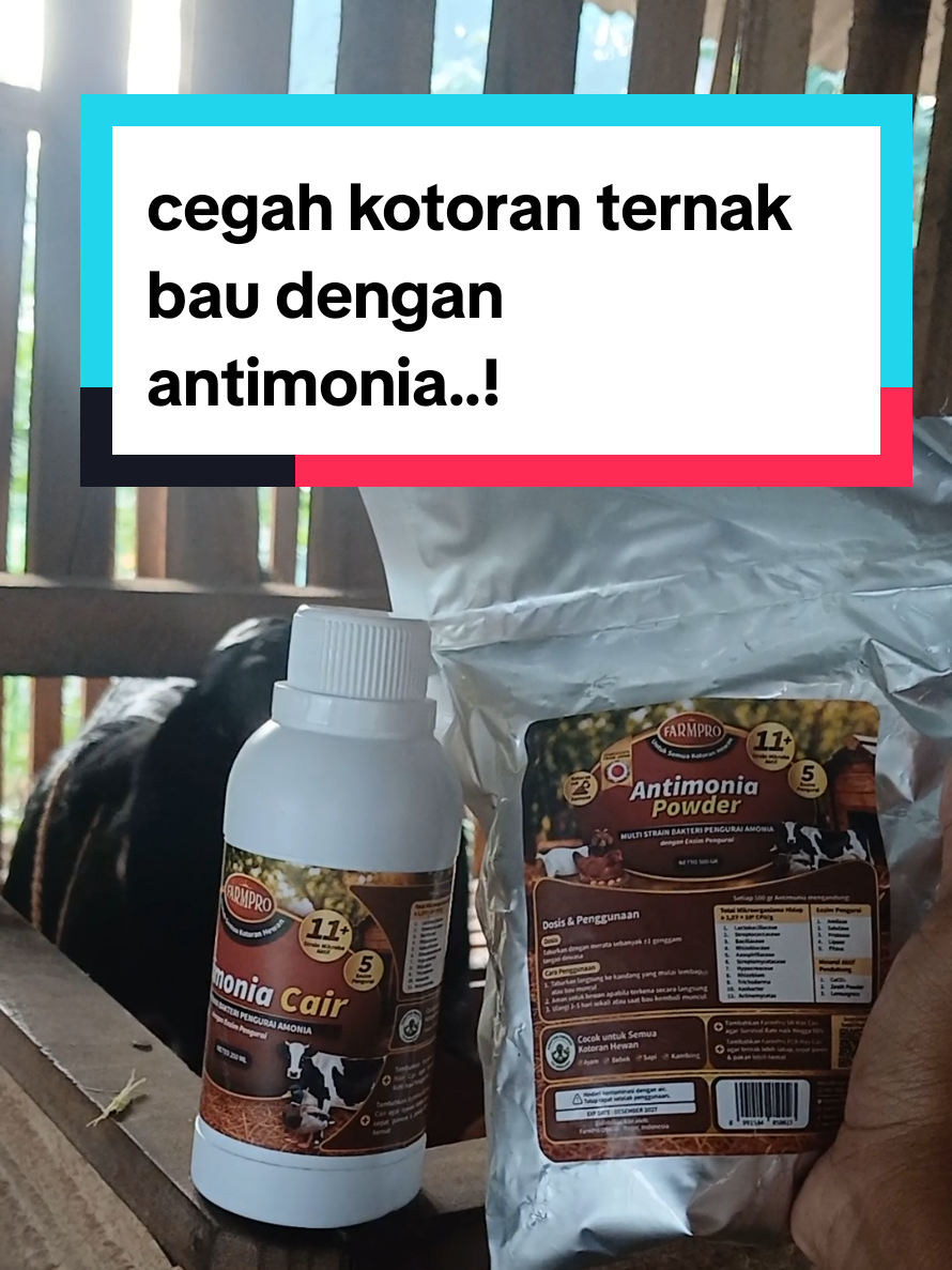 @Kang_Ewi