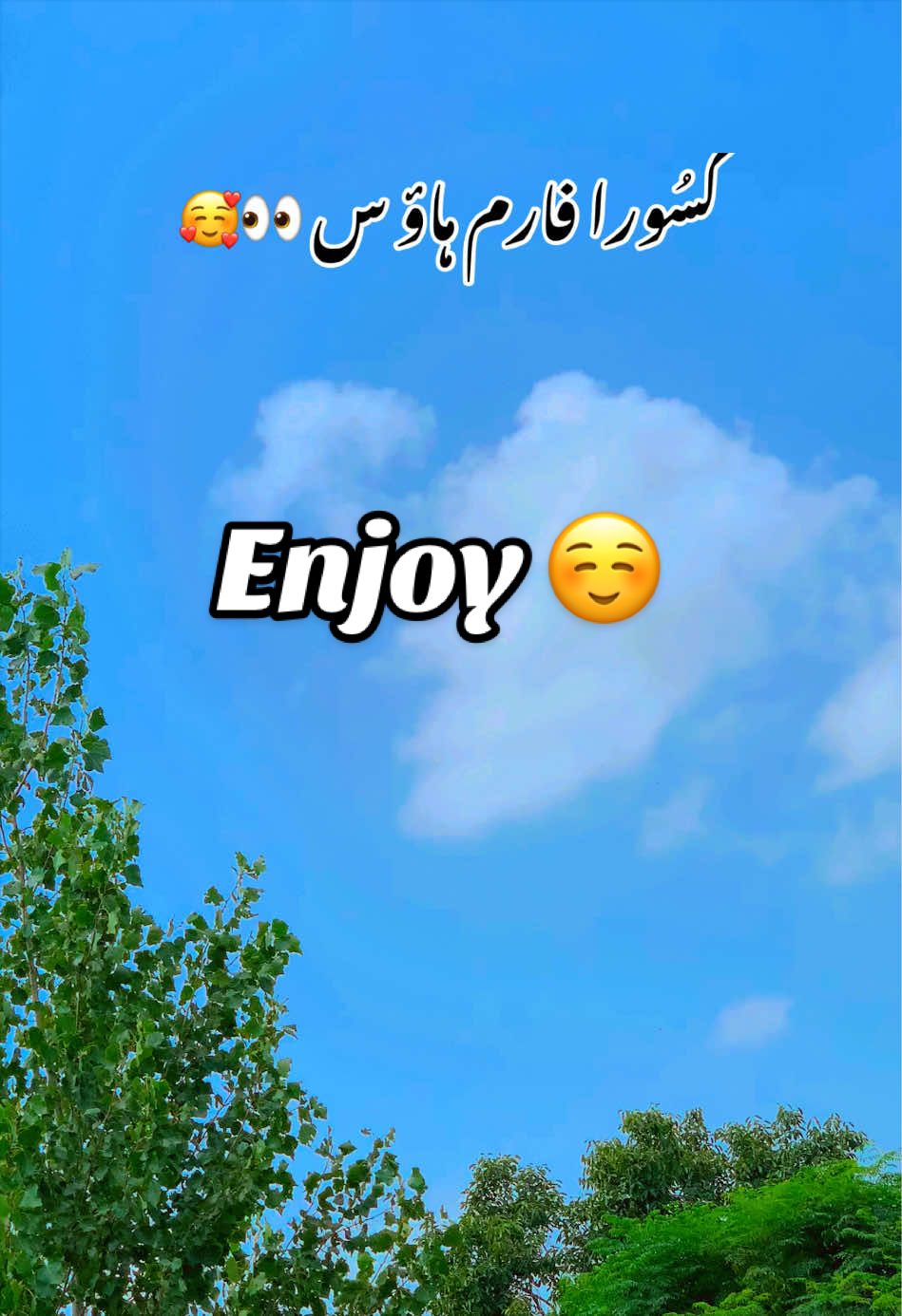 @Amir Shahzad Gasoora Saab