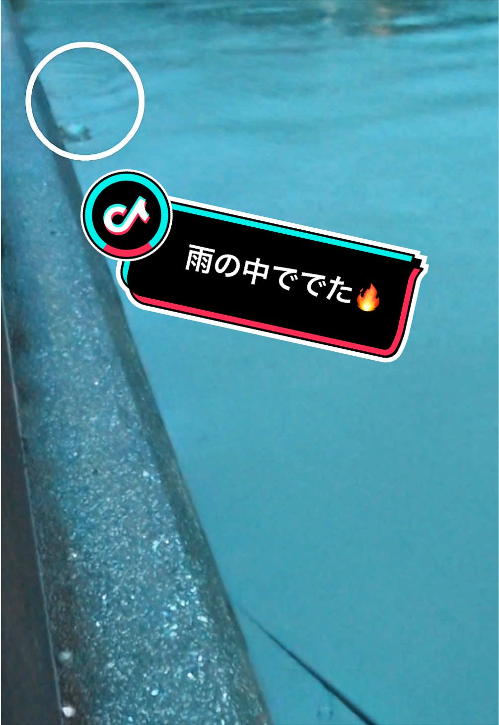 @北原颯斗