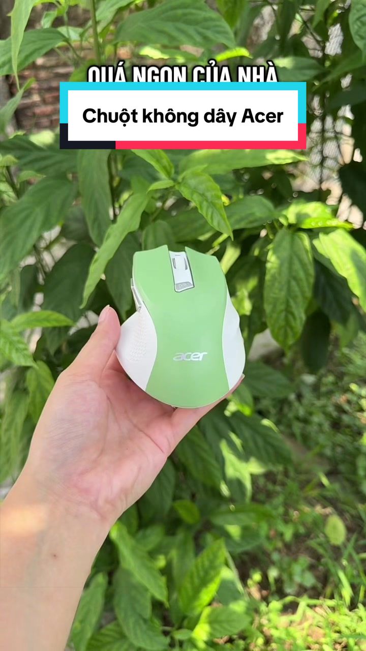 @Tuấn B&igrave;nh Thường