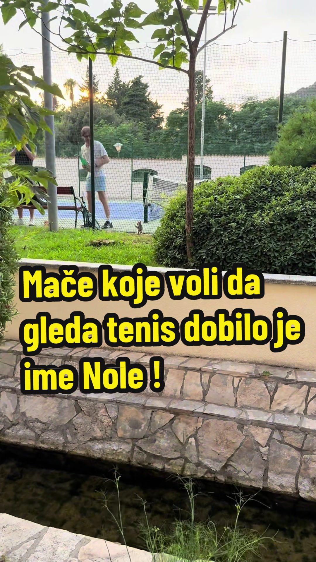@Maja Kovijanic