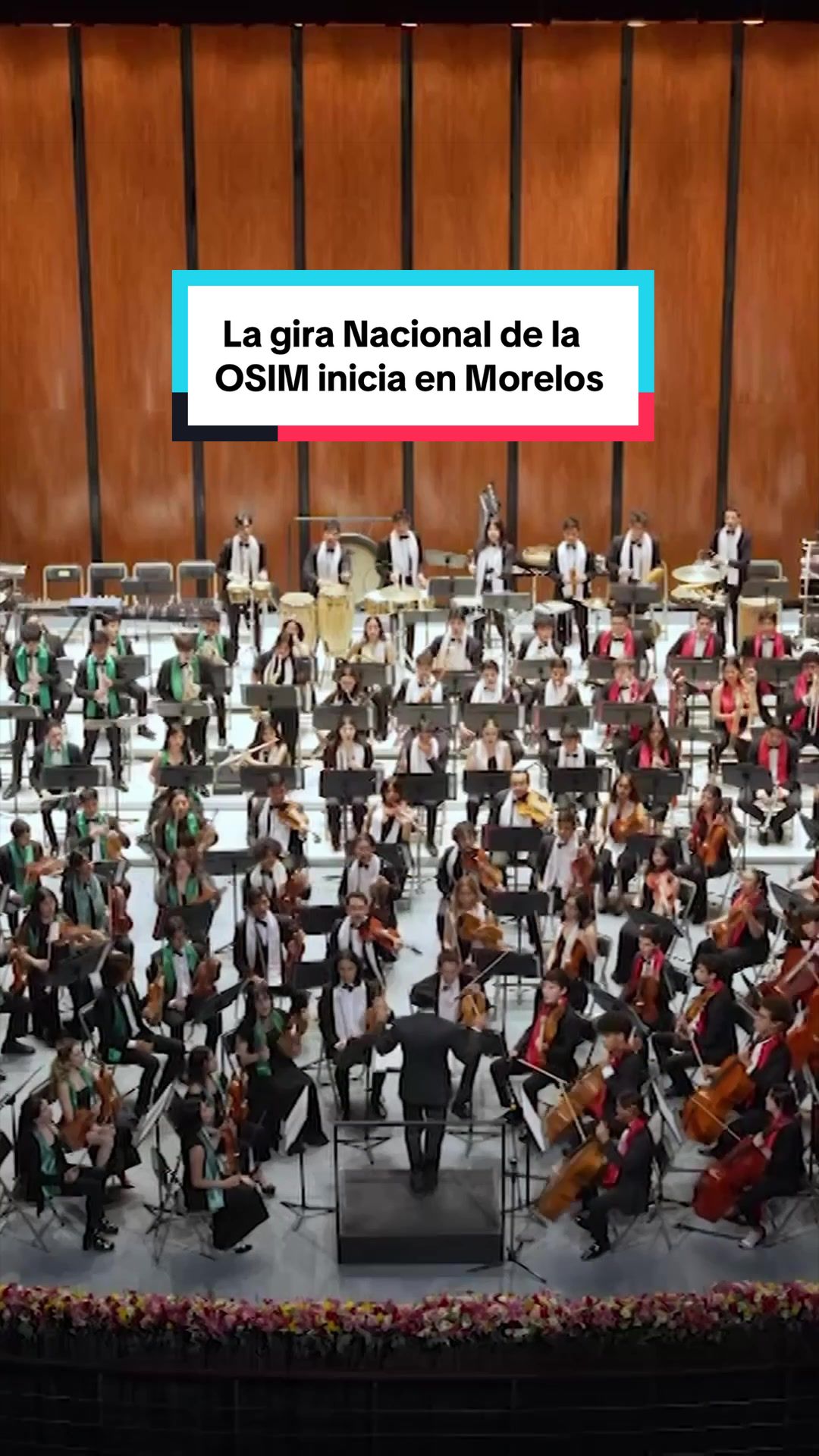 @Secretar&iacute;a de Cultura M&eacute;xico