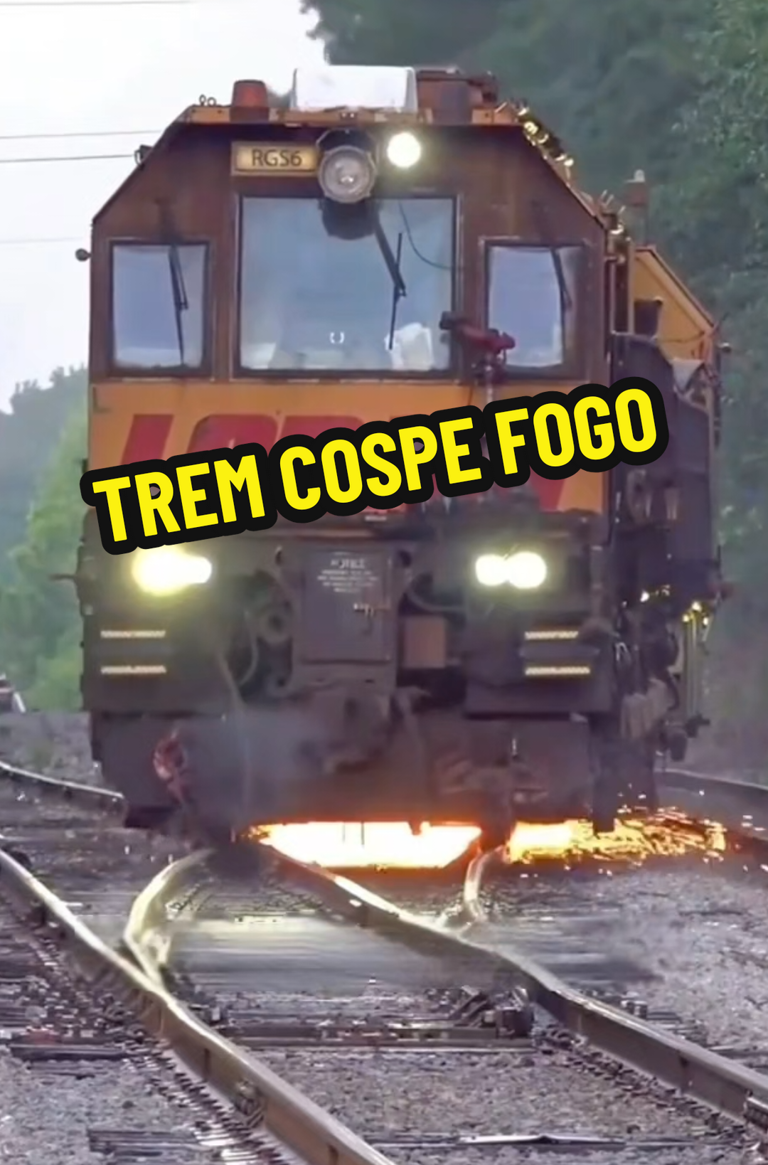@RAIZ DO SABER