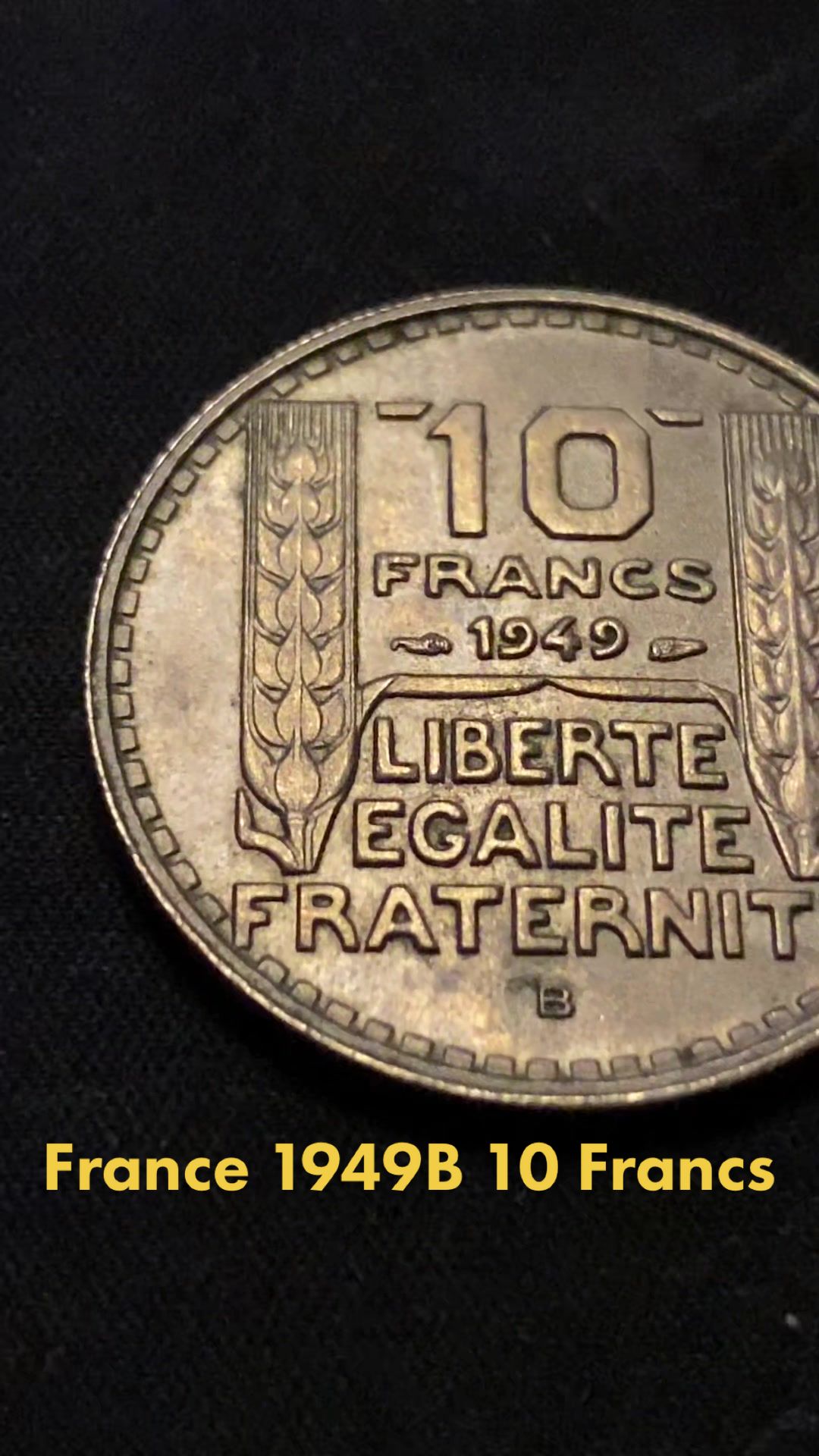 @Fractals Numismatica