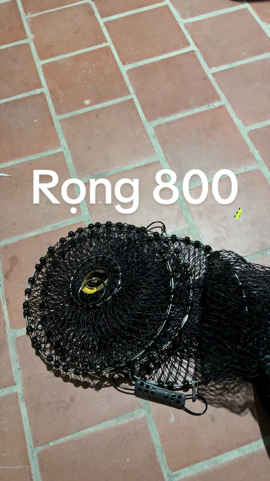 @tantrinhfishing