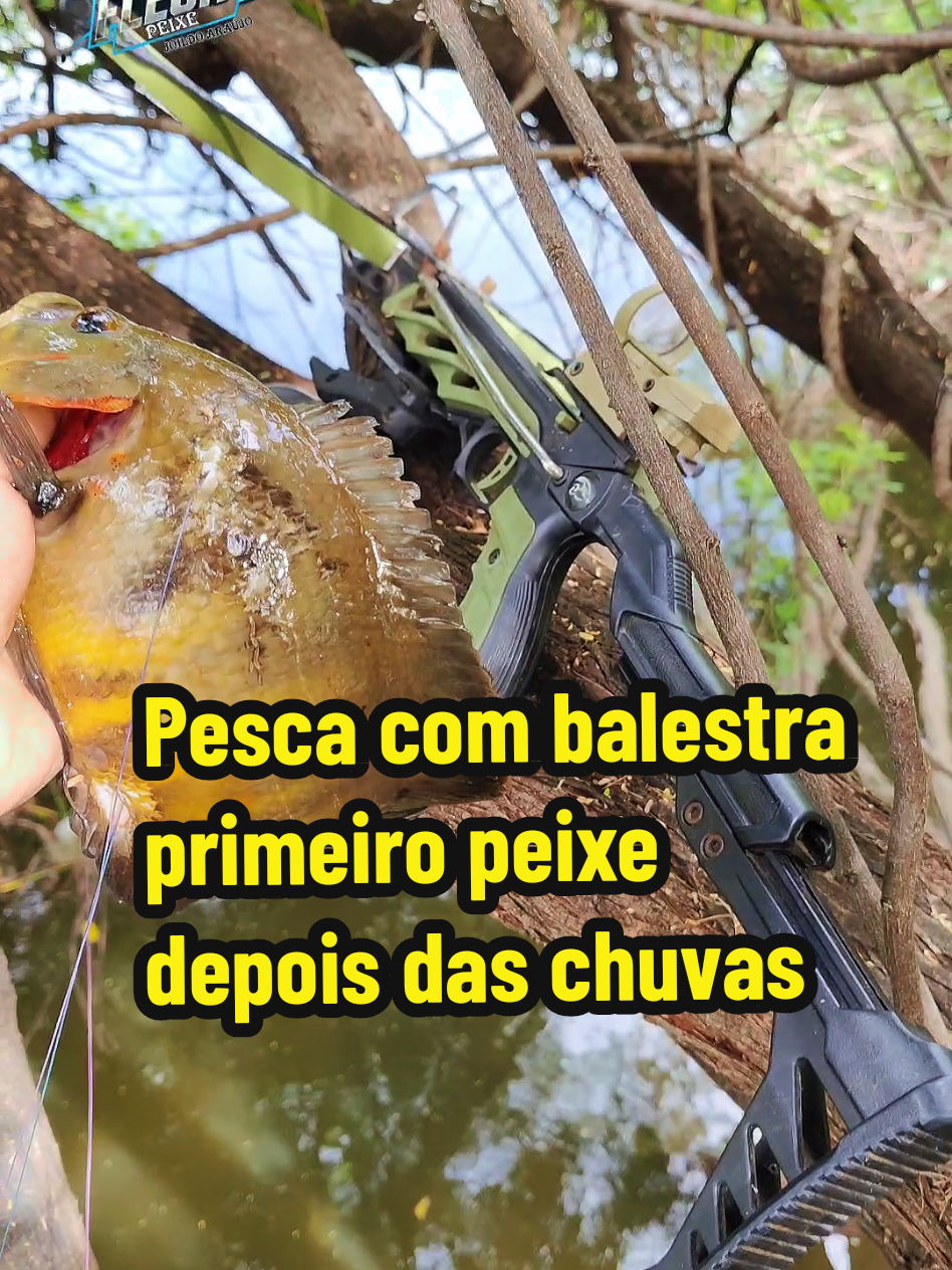 @Joildo Araujo