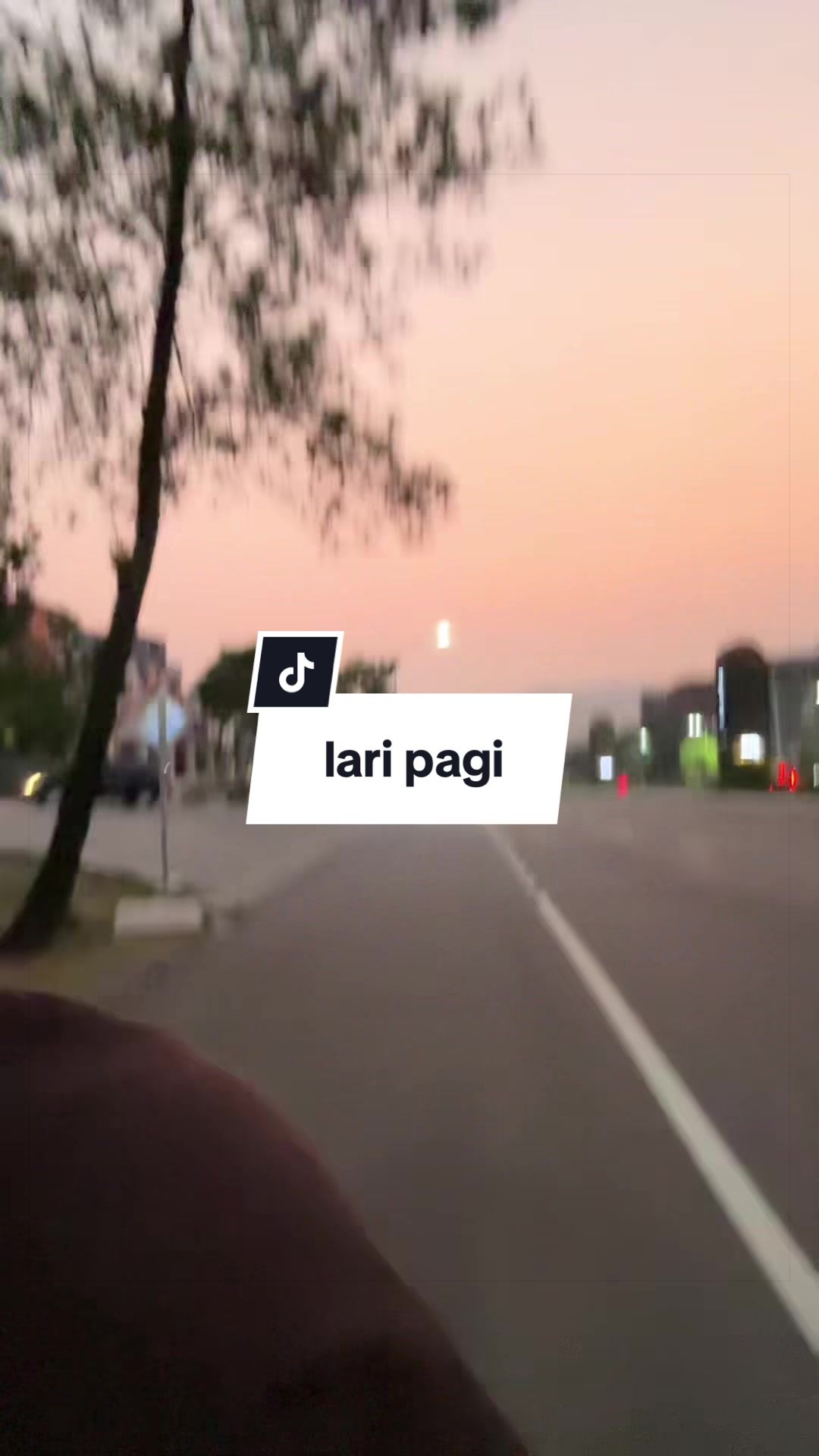 @s a y y i d