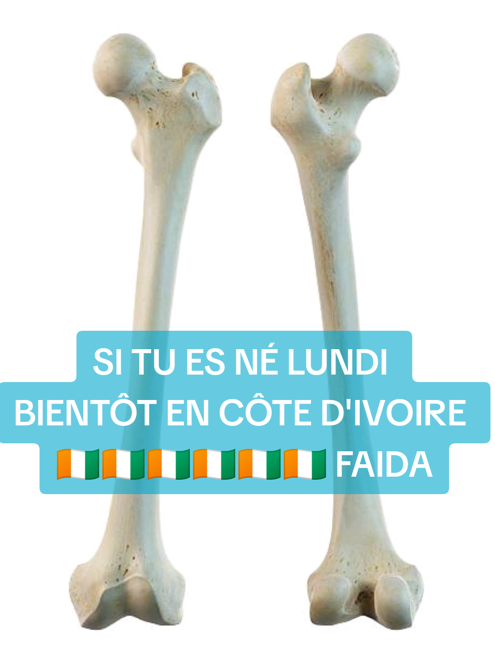 @Tourabou Massa