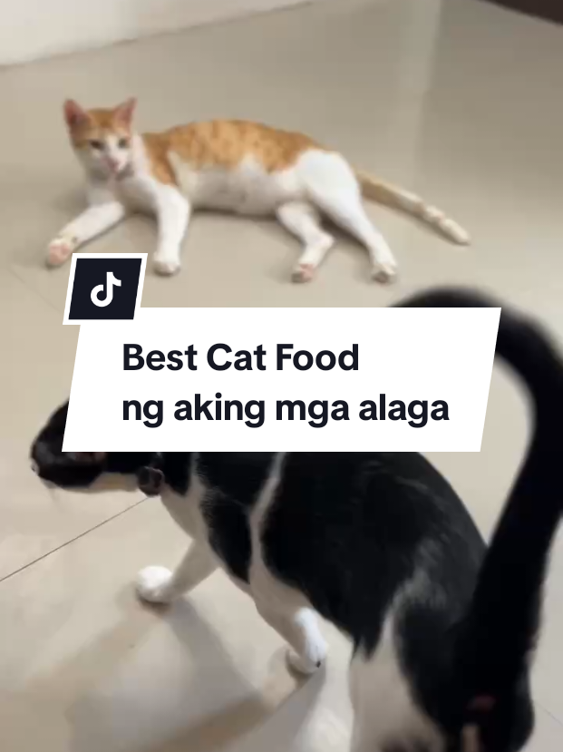 @inday alicia