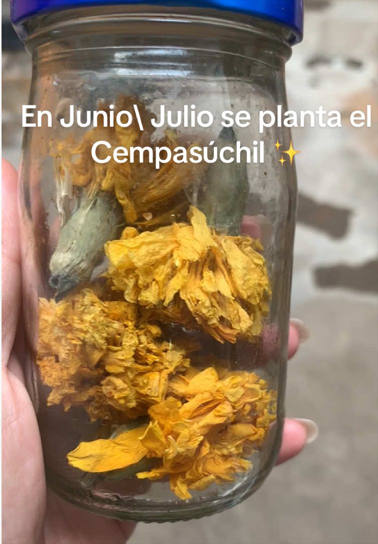 @La Bendita Hipi