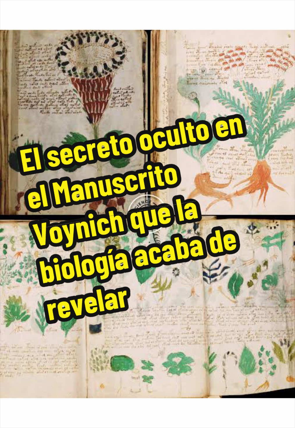@Fidel desvelado