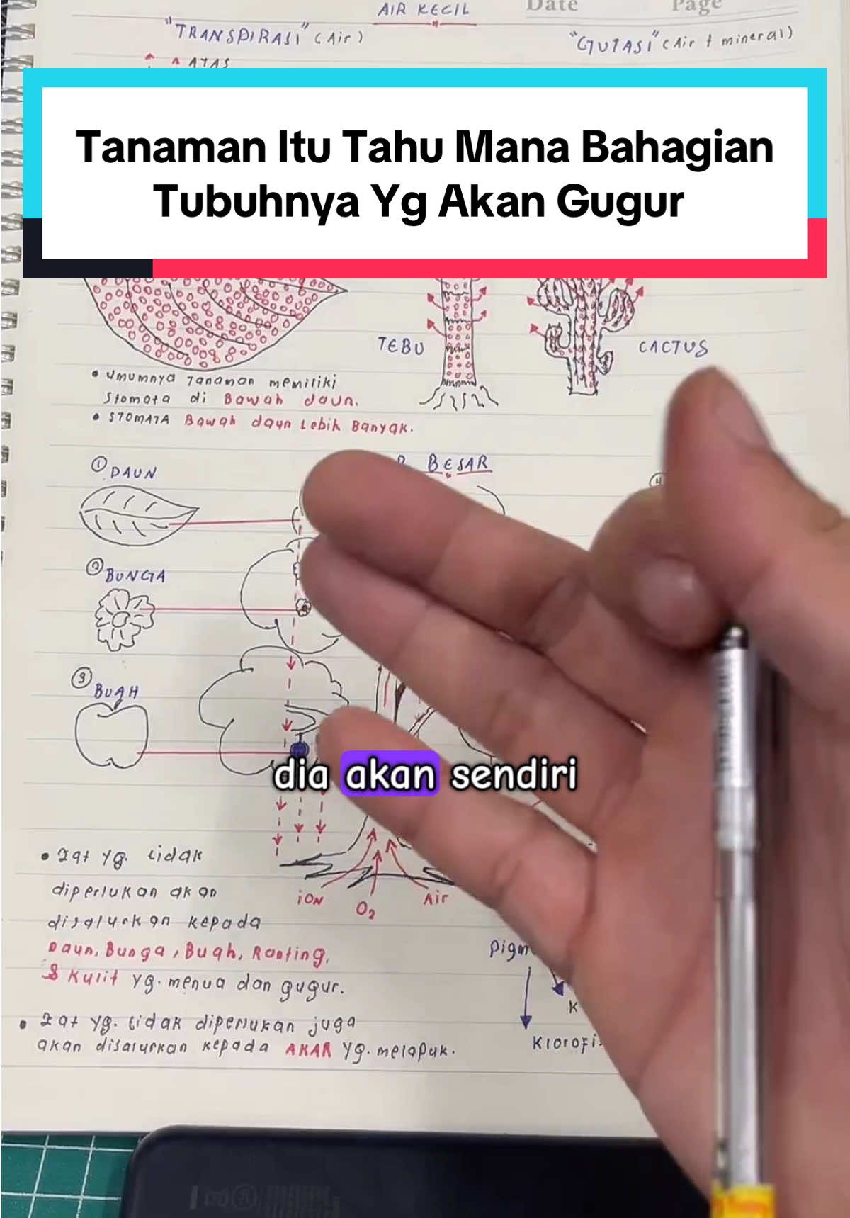 @Izat Aizie