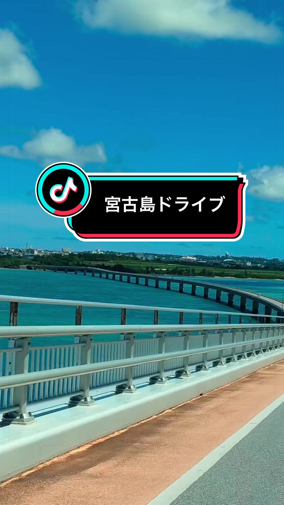 @島らっきょ