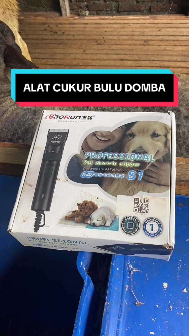 @ngaritboy