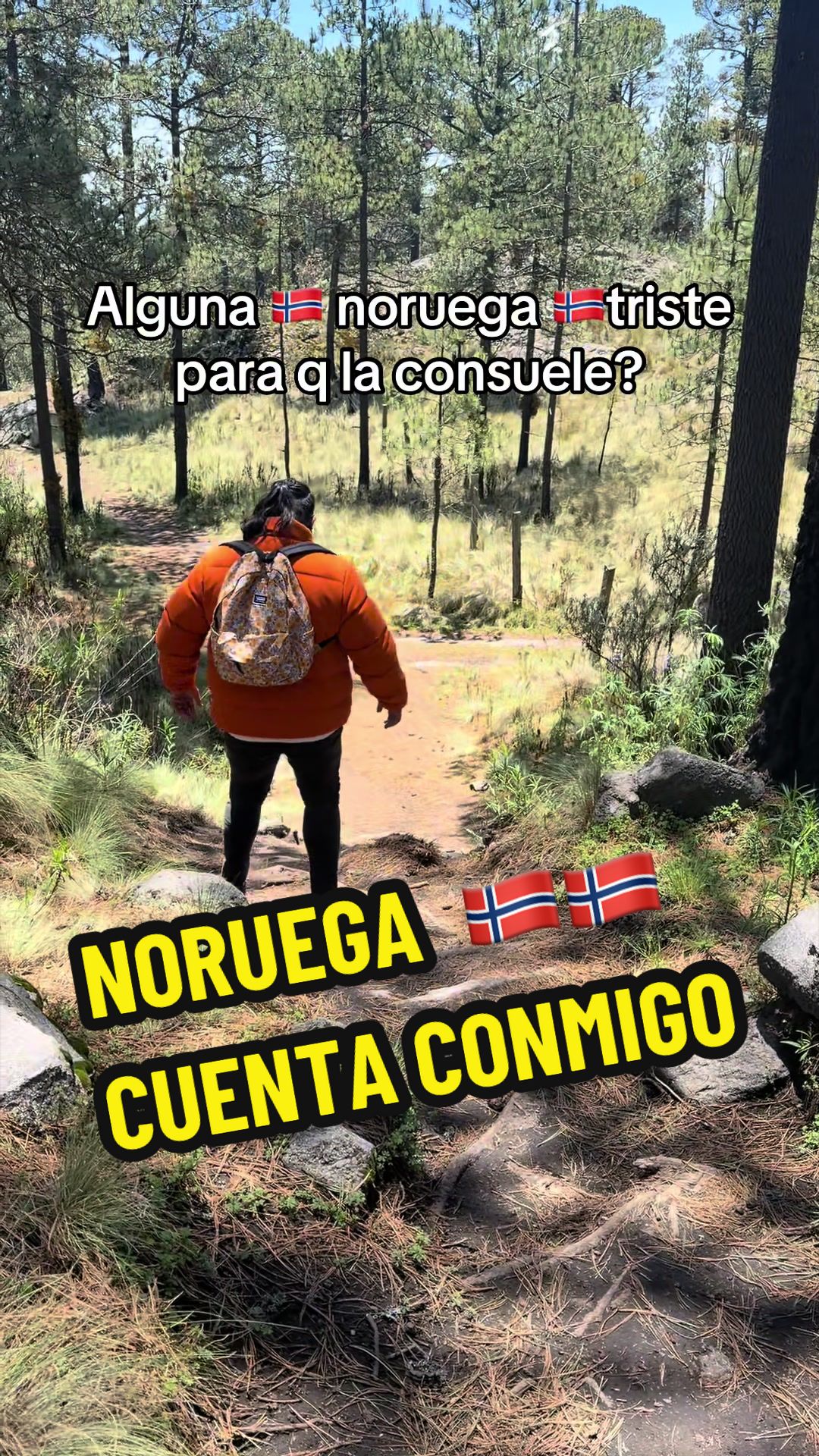 @DardoCollector
