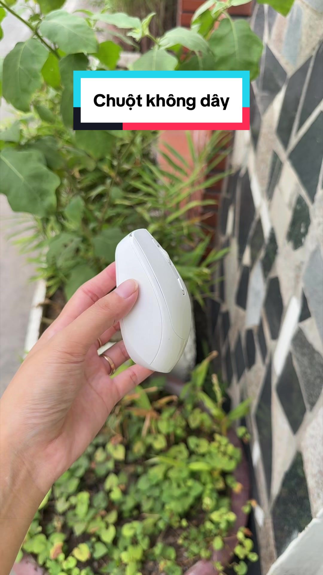 @Tuấn Bình Thường
