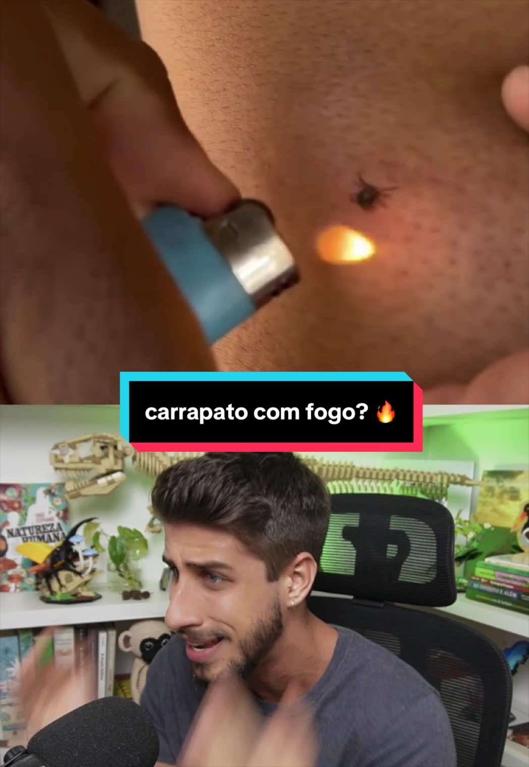 @Yago Stephano