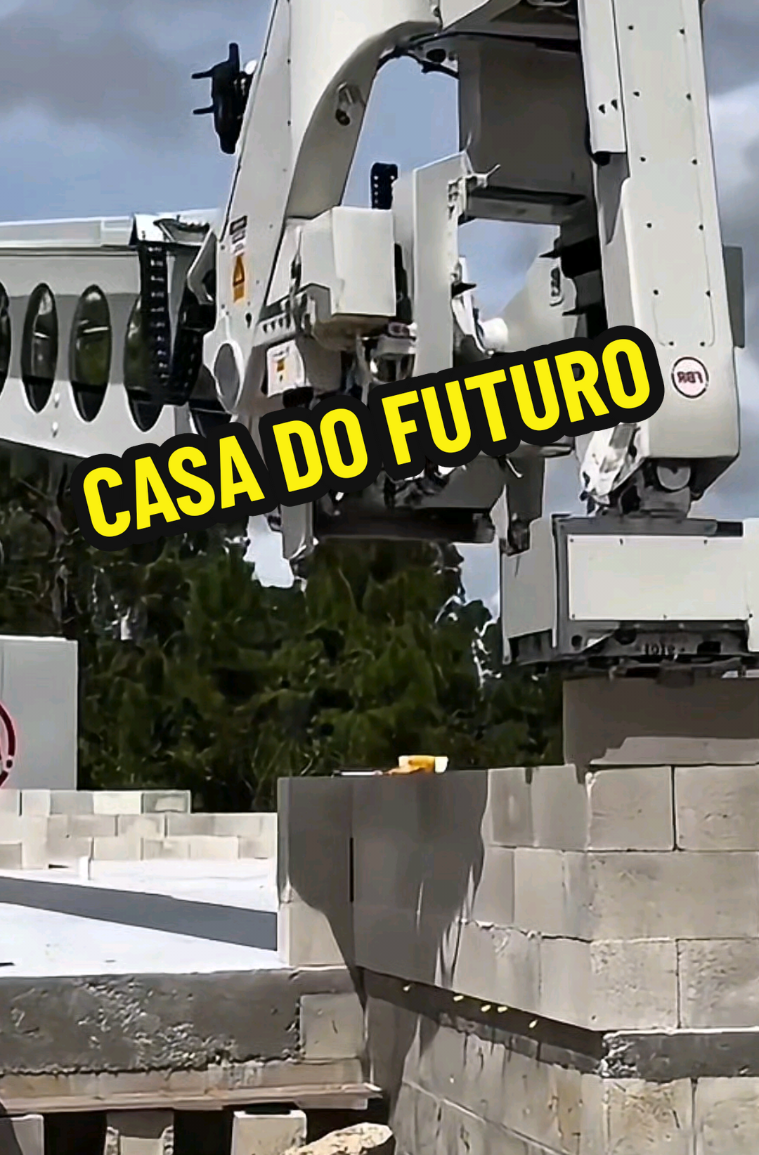 @RAIZ DO SABER
