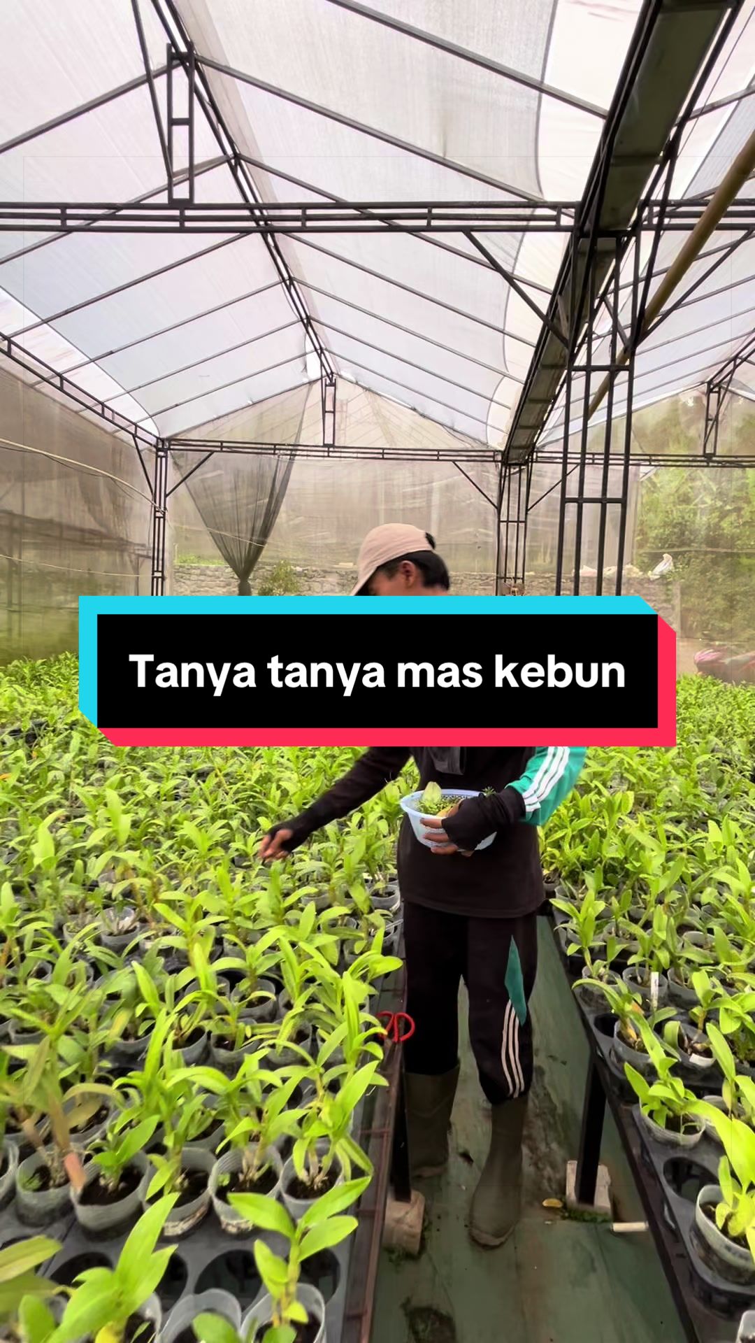 @Griya sekarindo utama