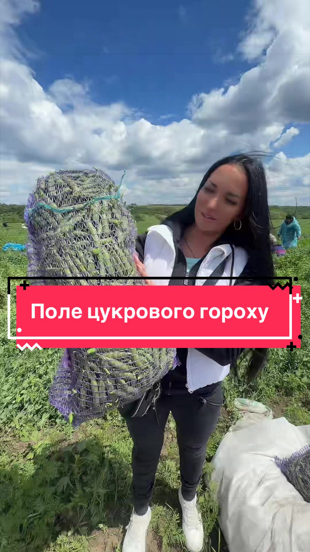 @Золотий Гектар|Насіння,Добрива