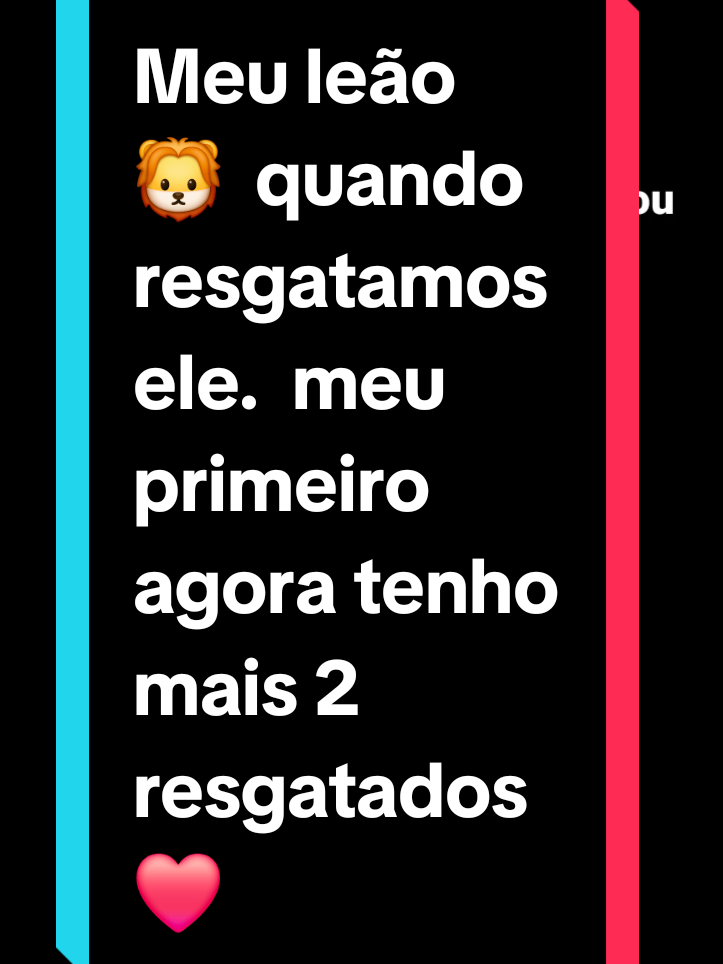 @🌹  Celia 🌹