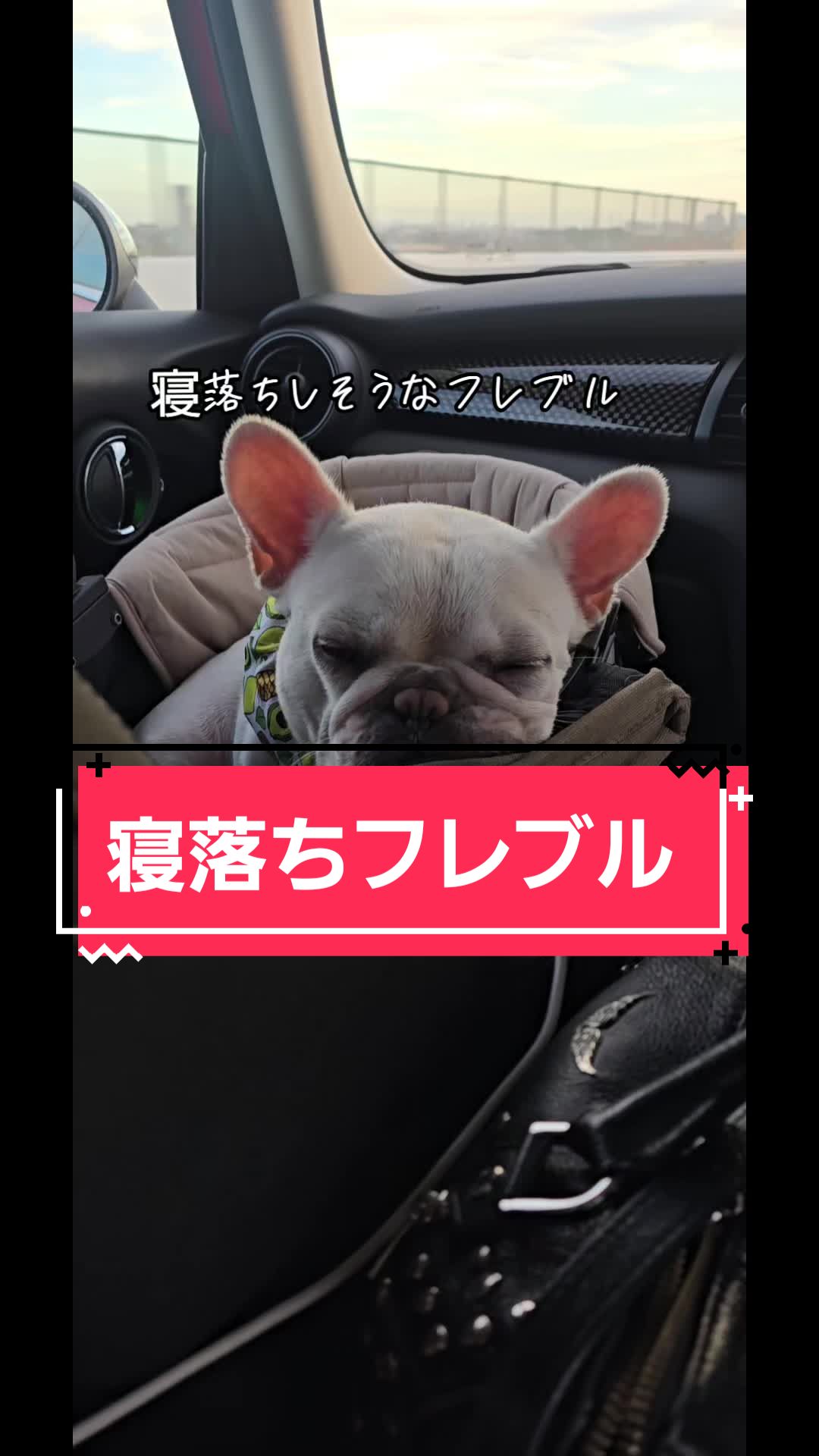 @フレブルJesse ❤️ MyO